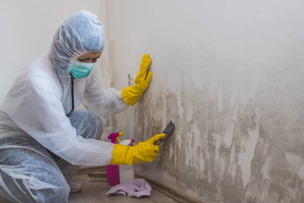 Best Crawl Space Mold Removal  in Chewelah, WA