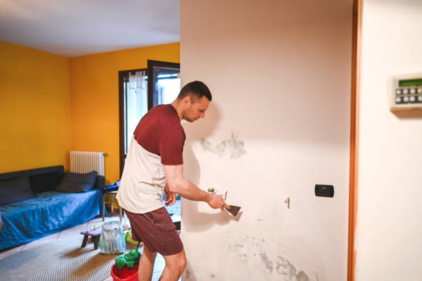 Best Commercial Mold Removal  in Chewelah, WA
