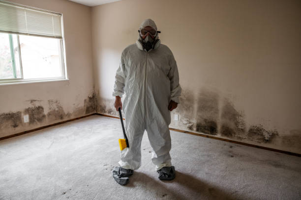 Best Mold Testing  in Chewelah, WA